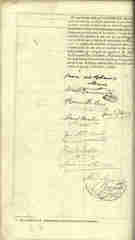 Documento491
