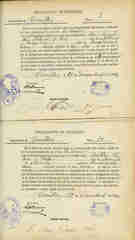 Documento499
