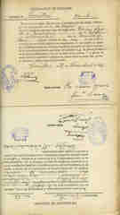 Documento503