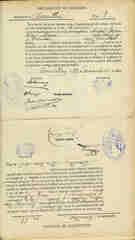 Documento504