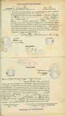 Documento507