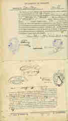 Documento508