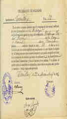Documento509