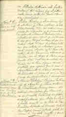 Documento516