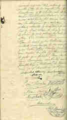 Documento529