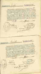 Documento532