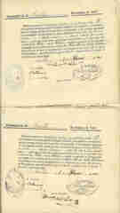 Documento533