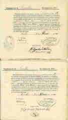 Documento534