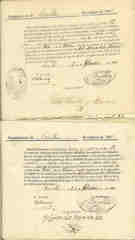Documento535
