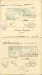 Documento536