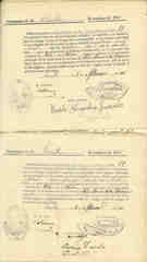 Documento537