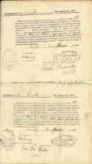 Documento538