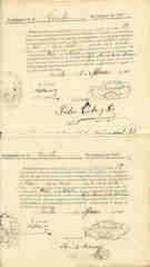 Documento541