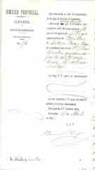 Documento554