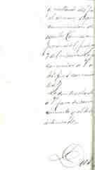 Documento558