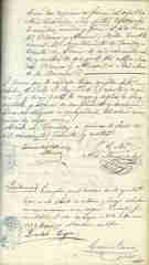 Documento131
