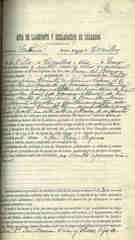 Documento141