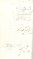 Documento195