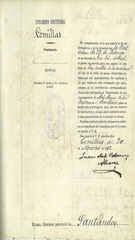 Documento225