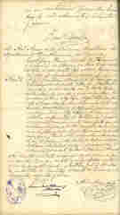Documento243