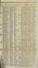 Documento261