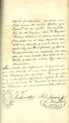 Documento306