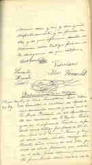 Documento313