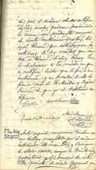 Documento334