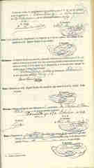Documento366
