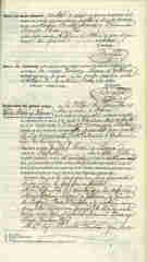 Documento371
