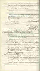 Documento381