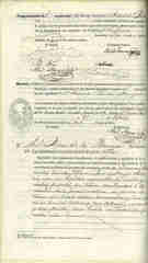 Documento383