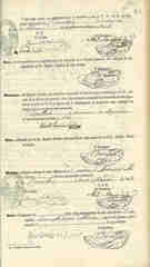Documento384