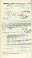 Documento393