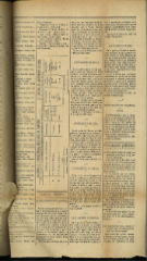 documento119