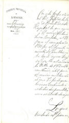 documento142
