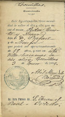 documento181