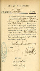 documento195