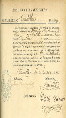 documento196