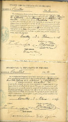 documento214