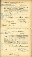documento215