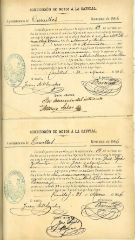 documento247