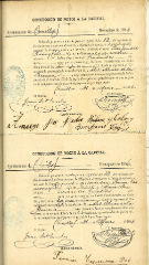 documento249