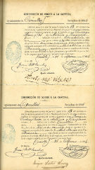 documento251