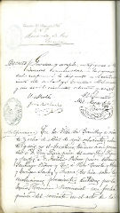 documento216