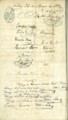 documento231