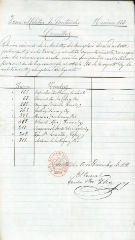 documento243