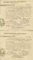 Documento20