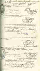 Documento83