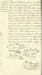 Documento116